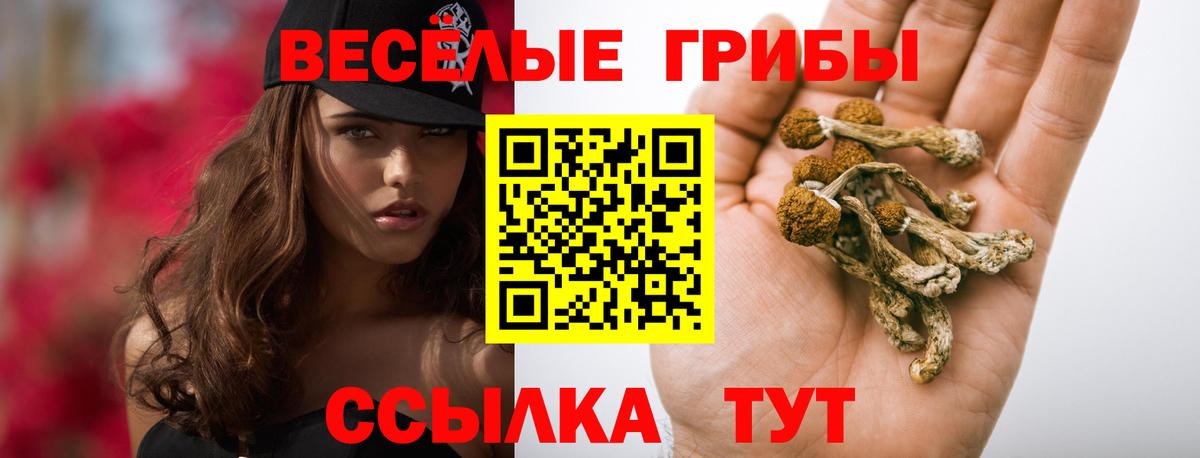 Псилоцибиновые грибы мицелий Строитель
